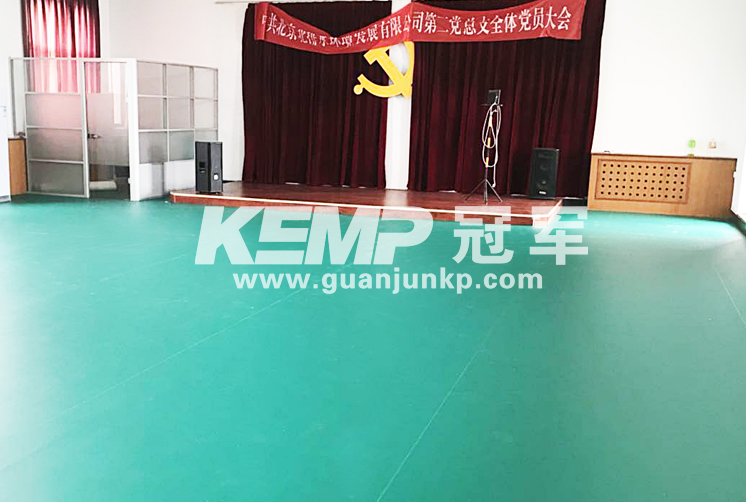 羽毛球運動地板