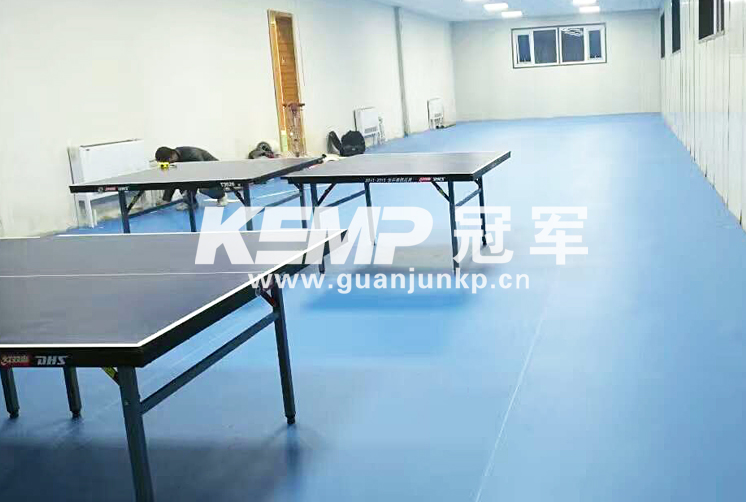 乒乓球運(yùn)動(dòng)地膠