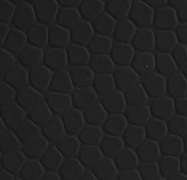 1597653712998656.jpg 1597653712998656.jpg