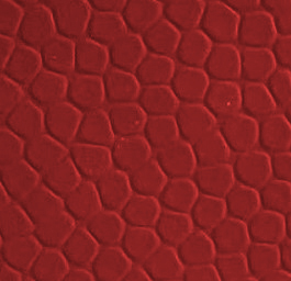 1597653718566401.jpg